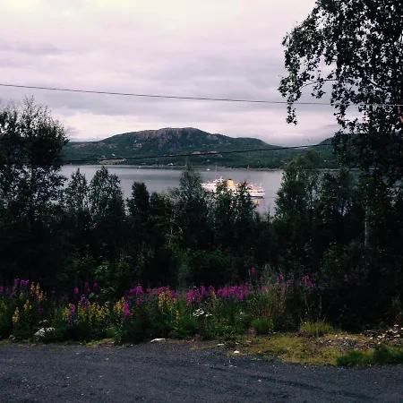 Jarfjord Arctic Aurora *